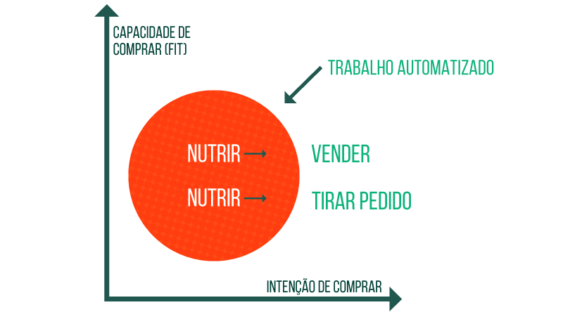 Nutrição de Leads